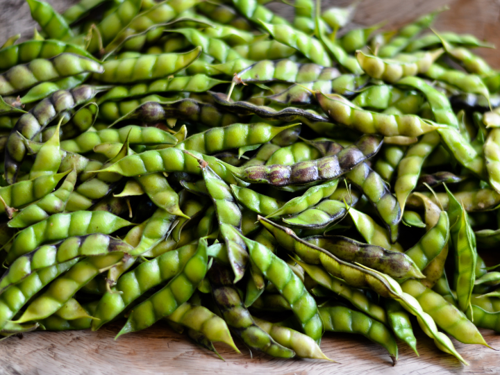 Agricultural cooperatives